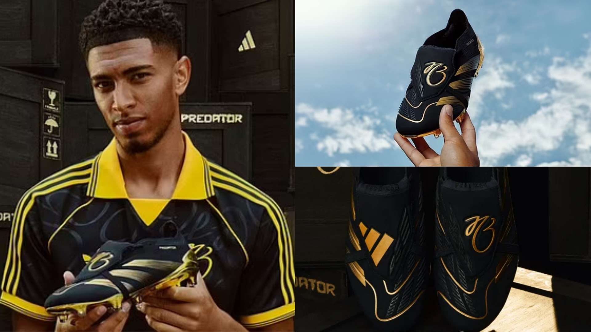 利兹和诺丁 利兹和诺丁