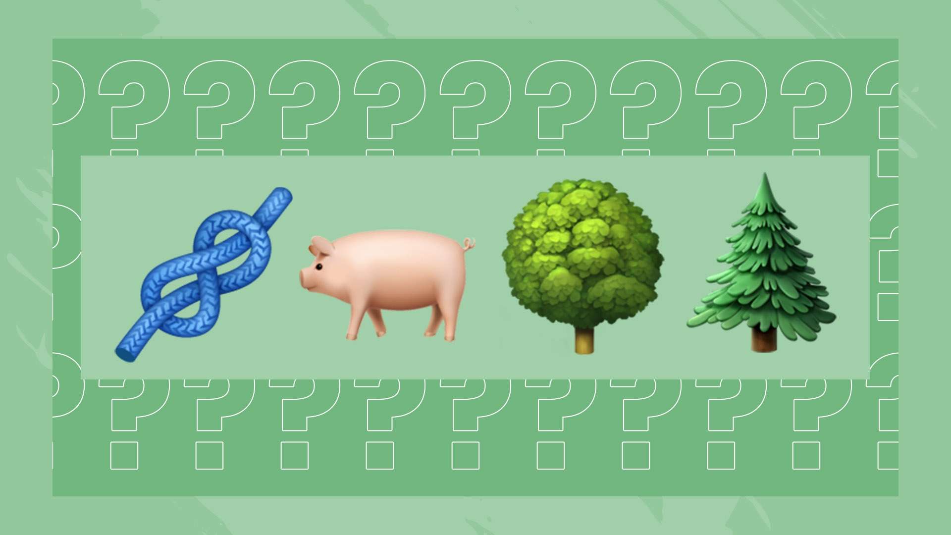 备丰富的执 备丰富的执